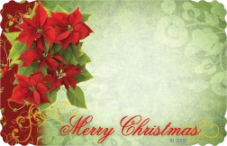 "Merry Christmas" : Green with poinsettias (Pack of 50 enclosure cards)