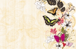 Flowers, butterflies, yellow lace (Pack of 50 enclosure cards)