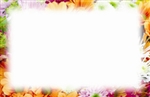 Floral border (Pack of 50 enclosure cards)