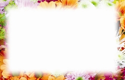 Floral border (Pack of 50 enclosure cards)