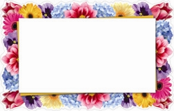 Floral border full die-cut (Pack of 50 enclosure cards)