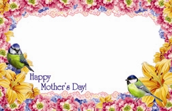 "Happy Mother's Day" : Green birds flower border (Pack of 50 enclosure cards)