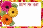 "Happy Birthday" : Gerbera mix w/border (Pack of 50 enclosure cards)