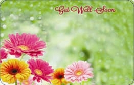 "Get well soon" Green backrnd w/ gerbera (Pack of 50 enclosure cards)