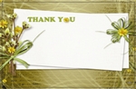 "Thank You" : Sage bckgrnd faffia tied dried flowers (Pack of 50 enclosure cards)