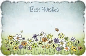 "Best Wishes" : Daisies on green grass (Pack of 50 enclosure cards)