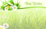 "Best Wishes" : Grass & flower bundle top (Pack of 50 enclosure cards)