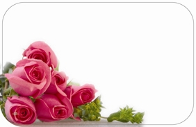 Pink roses lower left (Pack of 50 enclosure cards)