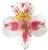 Rebecca (White w/ Pink) - Alstroemeria - 120 stems