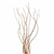 Curly Willow Branches, 3-4 feet tall (10 Bunches)