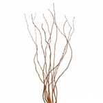 Curly Willow Branches, 3-4 feet tall (10 Bunches)