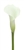 Crystal Blush-White Mini Calla Lily - 60 Stems