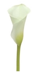 Crystal White-White Mini Calla Lily - 60 Stems