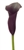 Naomi® Purple Mini Calla Lily - 60 Stems