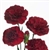 Burgundy - Mini Carnations - 160 stems