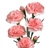 Pink - Mini Carnations - 175 stems