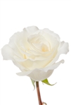 MT Everest White Rose 20" Long - 100 Stems