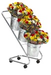 Fresh Flower Display with 3 Galvanized Buckets