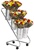 Fresh Flower Display with 6 Galvanized Buckets