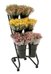 Mobile Flower Display with 6 Vases
