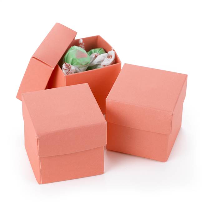 Two Piece Favor Box - Coral