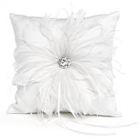 Feathered Flair Pillow