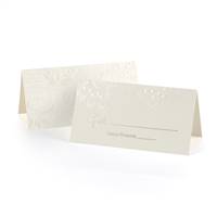 Lace Shimmers Place Card