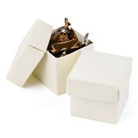 Ivory Shimmer 2 piece Favor Boxes