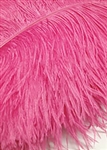 17-21" Ostrich Feathers - Hot Pink (1/2 Pound)