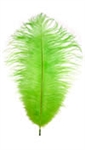 17-21" Ostrich Feathers - Dyed Lime Green (1/2 Pound)