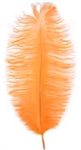 17-21" Ostrich Feathers - Orange (1/2 Pound)