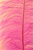 16-18" Ostrich Feathers - Hot Pink (Pack of 12)