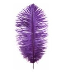 19-24" Ostrich Feathers - Purple (1/2 Pound)