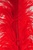 19-24" Ostrich Feathers - Red (Pack of 12)