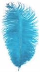 17"-21" Ostrich Feathers - Turquoise (Pack of 12)