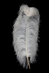 19-24" Ostrich Feathers - White (Pack of 12)