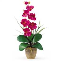 Single Stem Phalaenopsis Silk Orchid Arrangement