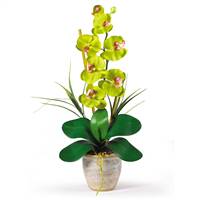 Single Stem Phalaenopsis Silk Orchid Arrangement