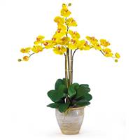 Triple Stem Phalaenopsis Silk Orchid Arrangement