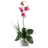 Mini Phalaenopsis Liquid Illusion Silk Orchid Arrangement