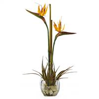 Tropical Bird of Paradise Liquid Illusion Silk Arrangement