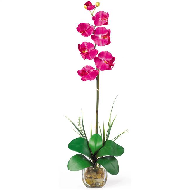 Single Phalaenopsis Liquid Illusion Silk Flower Arrangement