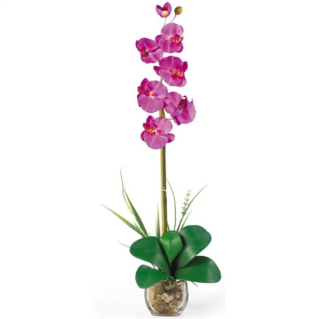 Single Phalaenopsis Liquid Illusion Silk Flower Arrangement