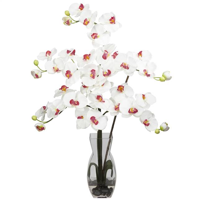 Phalaenopsis w/Vase Silk Flower Arrangement