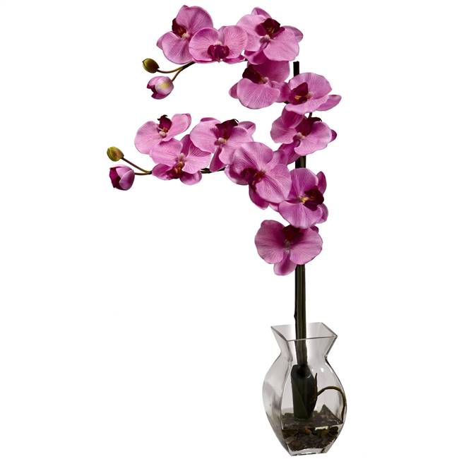 Phalaenopsis Orchid w/Vase Arrangement