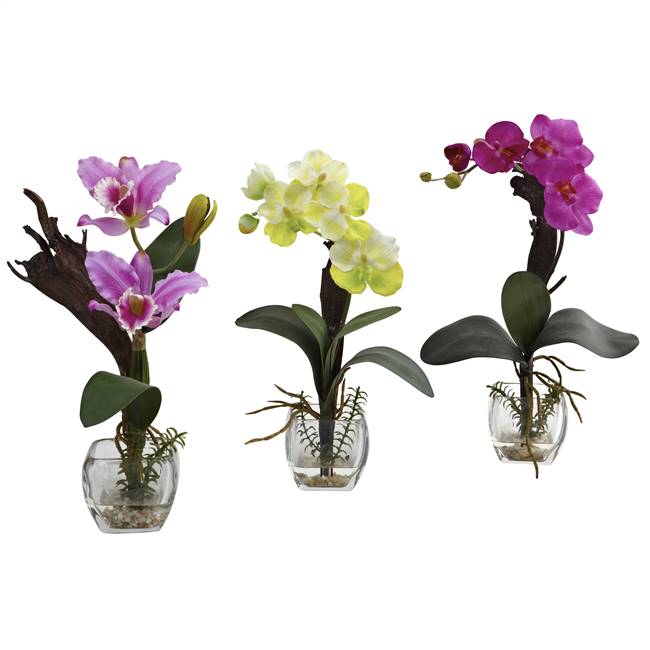 Mixed Orchid w/Cube Arrangements (Set of 3)