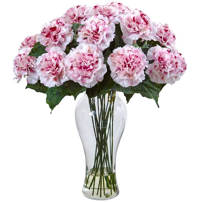 Blooming Carnation Arrangement w/Vase