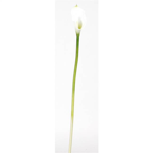 Calla Lilly Silk Flower (12 Stems)