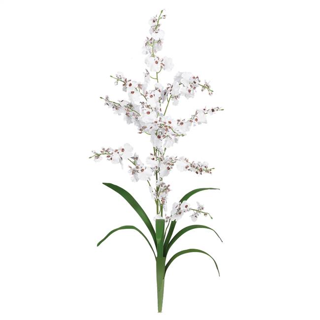 Dancing Lady Silk Orchid Flower (6 Stems)