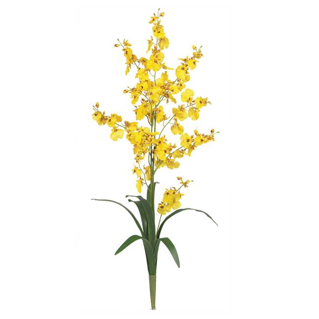 Dancing Lady Silk Orchid Flower (6 Stems)
